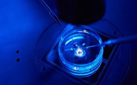 اولین «قرص بارداری» ساخته شد