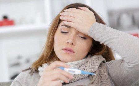 راه های جلوگیری از تب دانگی + اینفوگرافی | اختصاصی