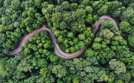 منظره باورنکردنی از پارک ملی گلستان