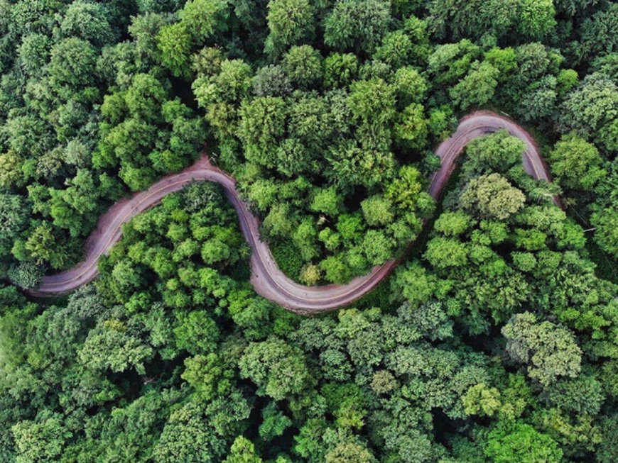 منظره باورنکردنی از پارک ملی گلستان
