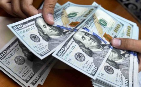 افزایش نرخ ارز در اولین روزهای خرداد ۱۴۰۳؛ تحلیلگران پیشبینیها را اعلام کردند
