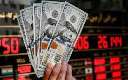 پیشبینی قیمت ارز در بهمن ۱۴۰۳: چشمانداز بازار ارز از نگاه سهندخبر
