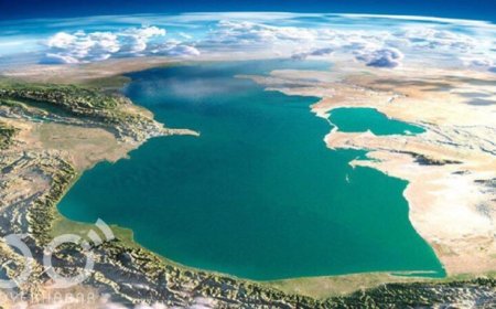 علت خشک شدن تالاب انزلی چیست؟