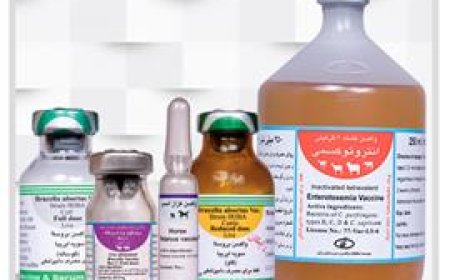 تولید ۲ واکسن جدید در موسسه رازی