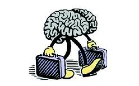 پدیده «فرار مغزها» در سال ۱۴۰۳: بحرانی خاموش با تبعاتی ماندگار