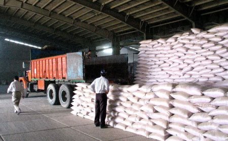 توزیع بیش از ۱۲۷۵ تن کود شیمیایی بین کشاورزان شهرستان اسکو در سال زراعی ۱۴۰۳-۱۴۰۴