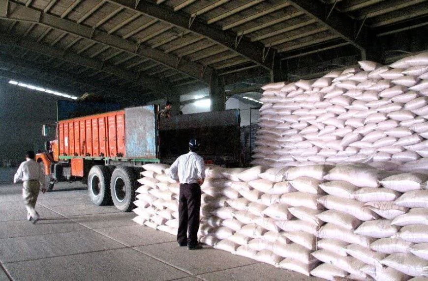 توزیع بیش از ۱۲۷۵ تن کود شیمیایی بین کشاورزان شهرستان اسکو در سال زراعی ۱۴۰۳-۱۴۰۴